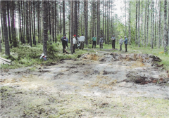 T�st� se l�htee